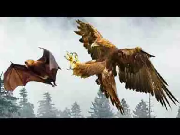 Video: Most Spectacular RAPTORS ATTACK COMPILATION including Eagles, Falcons, Snakes, Rabbit, Monkey, Goats